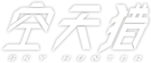 Sky Hunter