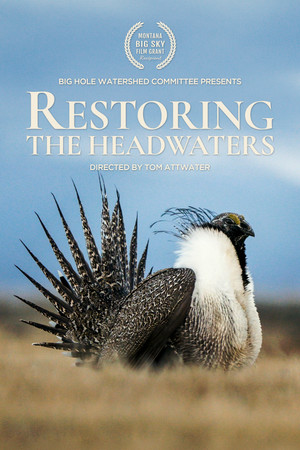 Restoring the Headwaters (2026)
