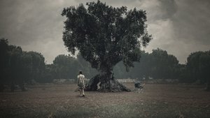 El Vínculo (2020) WEB-DL 1080P LATINO/ESPAÑOL/ITALIANO