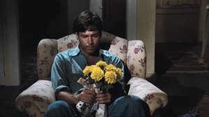 The Waltons The Estrangement