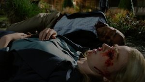 Grimm Temporada 1 Capitulo 20