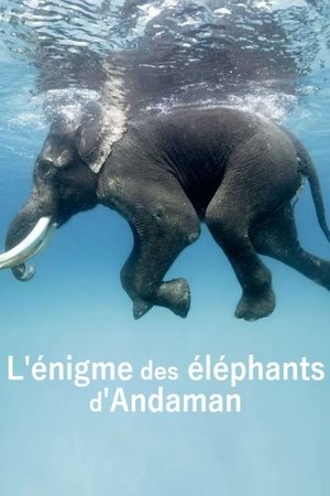 Poster L'énigme des éléphants d'Andaman (2023)