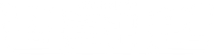 Ganglion — Logos 4