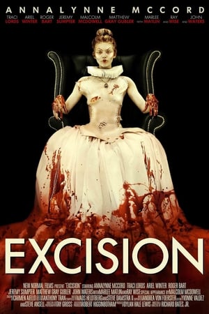 Poster Excision 2012