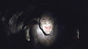 The Descent: Part 2 (2009)