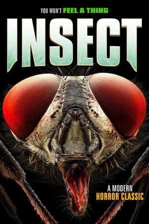 Poster Insect (2021)