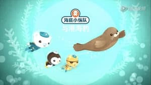 Octonauts The Harbour Seal