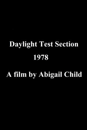 Daylight Test Section