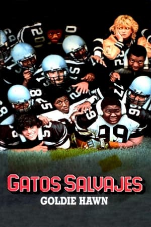 Poster Gatos salvajes 1986