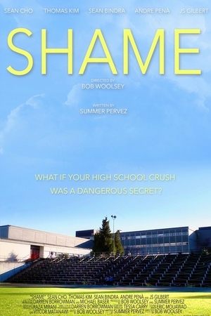 Poster Shame (2013)