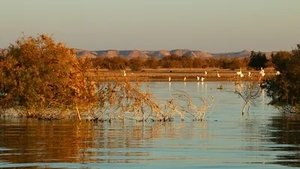 Secret Life of Lakes Lake Nasser