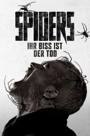 Image Spiders - Ihr Biss ist der Tod