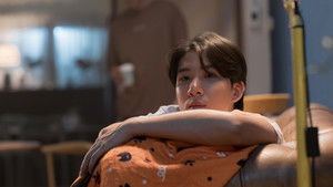 Đổi Tình Lấy Mèo