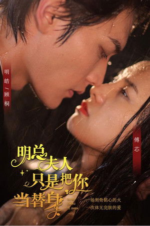 明总，夫人只是把你当替身