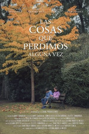 Poster Las cosas que perdimos alguna vez 2024