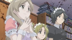 Sasameki Koto: 1×5