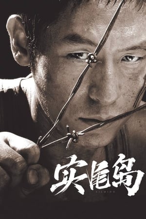 Poster 实尾岛 2003