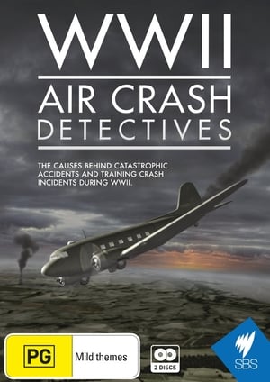 Poster WWII Air Crash Detectives 2014