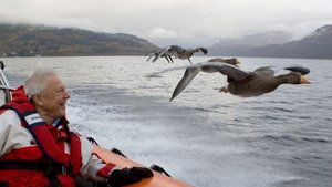 Attenborough: 60 Years in the Wild Understanding the Natural World