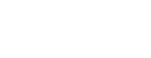 Junebug — Logos 1