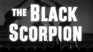 Image The Black Scorpion