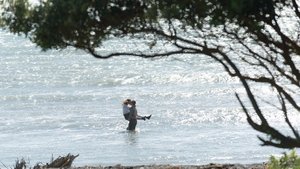 La luce sugli oceani