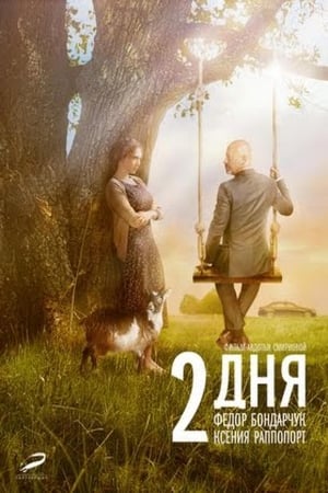 Poster 2 дня 2011