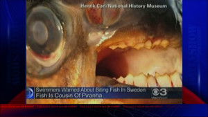 The Daily Show: 18×141