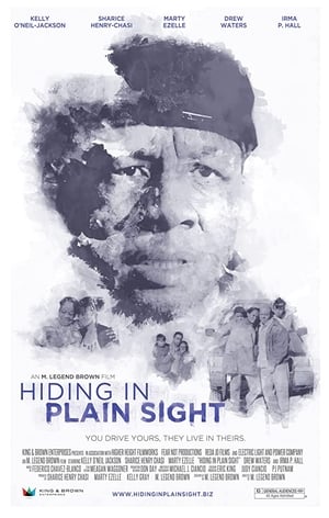 Poster Hiding in Plain Sight (2012)