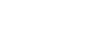 Logo Boulevard Films