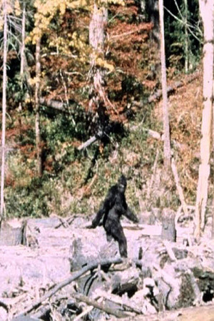 Patterson-Gimlin Film
