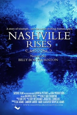 Poster Nashville Rises 2011