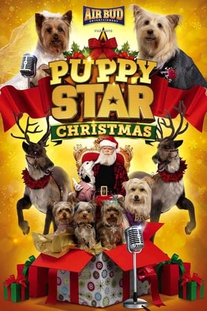 Image Puppy Star: Boże Narodzenie