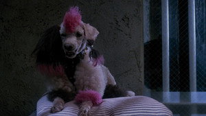Elvira: Mistress of the Dark movie still 115