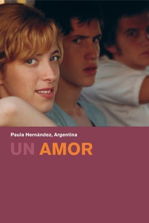 Poster Un amor 2011