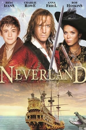 Poster Neverland 2011