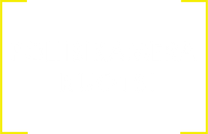 Fångat på polisens kamera