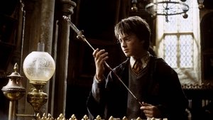 Harry Potter und die Kammer des Schreckens (2002)