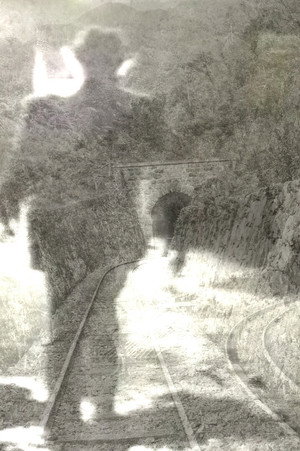 Di&aacute;logo Bulbul (2025)