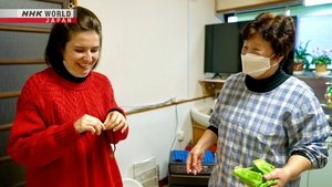 Journeys in Japan: 14×7