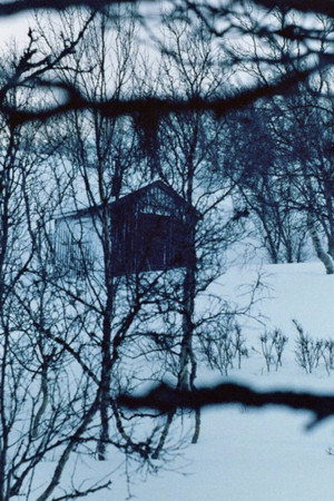 The Girl looking for the cabin