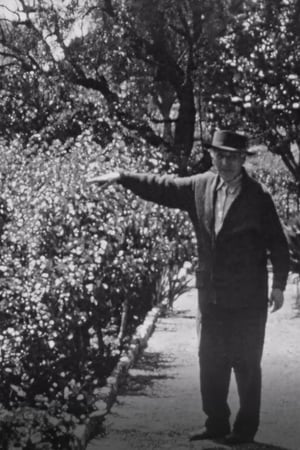 Image Chagall dans son jardin a Saint-Paul-de-Vence