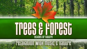 Trees & Forest: Echoes of Nature Relaxation with Music & Nature