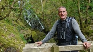 The Rheidol Valley