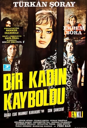 Image Bir Kadın Kayboldu