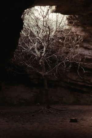 All Things Pass and Will Pass Again