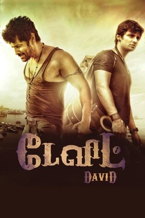 Poster David (2013)