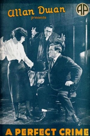 Poster A Perfect Crime (1921)