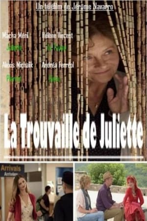 Poster La Trouvaille de Juliette 2014