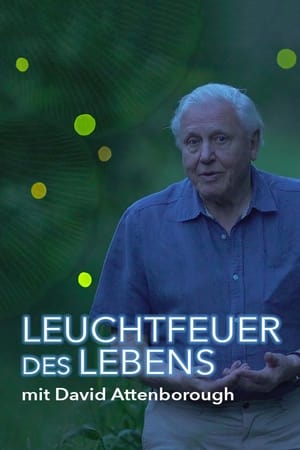 Image Leuchtfeuer des Lebens